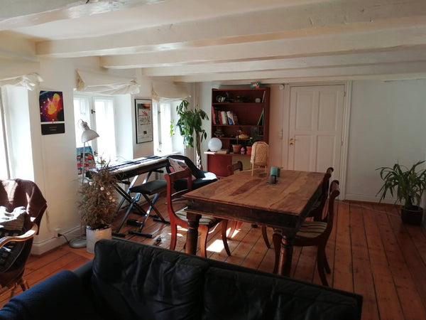 Apartment in Central Copenhagen, cozy and nice! Entire rental unit vacation rental 51212257