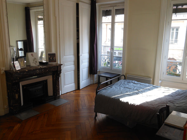 Chambre 25 m2, dans F4 110m2, pour 2 personnes + 1 enfant dans la chambre ou 2 d Lyon, France Chambre, Fête des Lumières Private room in rental unit vacation rental 9374686