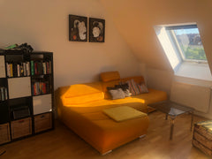 Meine super Dachgeschosswohnung ist im 5ten Bezirk in Wien und besticht durch ih  Attic Appartment near the center. Dachgeschossw. Entire rental unit vacation rental 643263208155336937