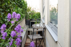 This is a sunny haven for the world-wise traveler, located right in the heart of Brussels, Belgium Catherine’s Corner Eco-Apartment, near Grand Place Entire rental unit vacation rental 36876123