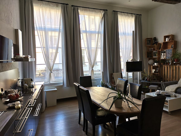 I propose you my apartment (it is not a hotel, but the place where I live) in th Brussels, Belgium Magnificent short or medium stay apartment Entire rental unit vacation rental 20124218