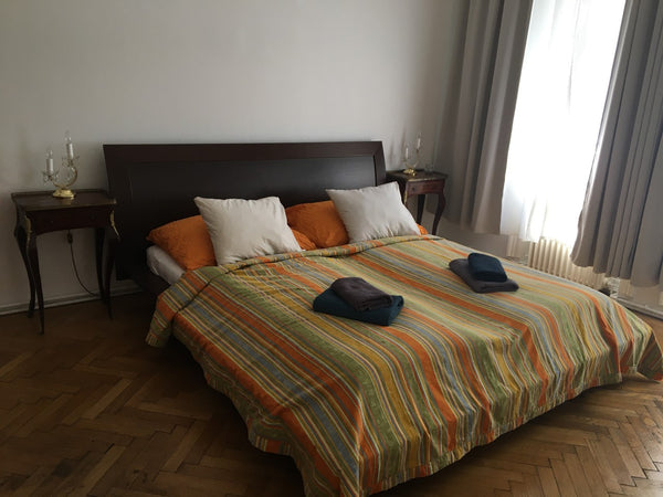 Schöne Altbauwohnung direkt bei der U-6 Station, Strassenbahn und Citybike-Stati Vienna, Austria Helle Altbauwohnung 64m² - bright 3 Room Apartment Entire rental unit vacation rental 18894974