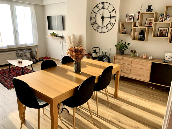 Appartement entier, spacieux, à côté de la gare de Schaerbeek, fraichement rénov Braine-l'Alleud, Belgium Fully refreshed flat next to Schaerbeek station Entire condo vacation rental 51986000