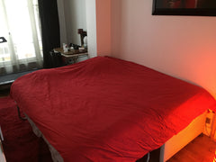Appartement chaleureux au cœur de Paris, chambre privative lit King size ou deux Paris, France Belle Chambre salle de douche & wc privé dans Loft Private room in loft vacation rental 23944567