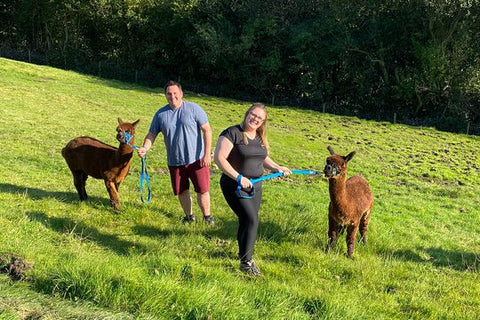 Private Alpaca Farm Tour in Tunstead Milton  Private Tours and Travel Guide Europe London COUNTRY England Destination Tour Europe London COUNTRY England