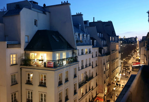 A 60 sqm appartement at the 5th floor with a 10 sqd balcony in one of the oldest Paris, France Roofs of Paris Entire rental unit vacation rental 29870852