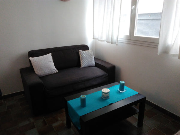 Je serais ravie de vous accueillir dans mon appartement de type T2. Le logement  France Appartement cosy secteur part dieu Entire rental unit vacation rental 30264673