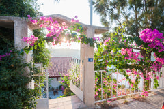 I only speak Greek and English<br /><br /><b>The space</b><br />energy independe Athanati, Greece energy independence house Entire home vacation rental 977344