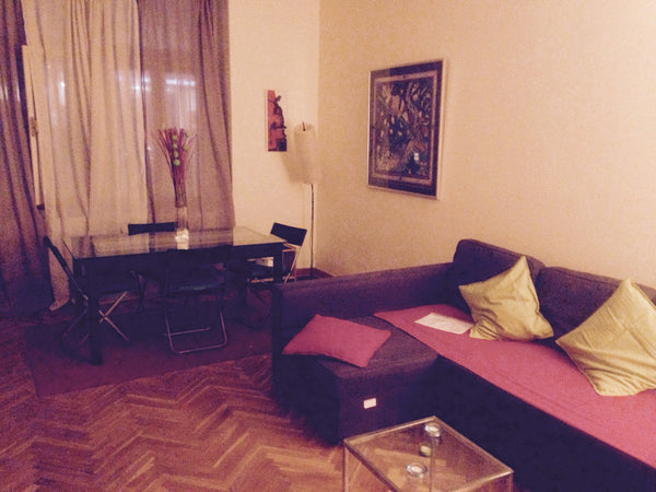 Cozy apartment in walking distance from Prague center, located in a quite street Rome, Italy Nice apartment in Prague center Entire rental unit vacation rental 6565670