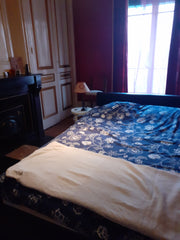 Loue pour la fête des lumières une chambre en plein cœur du vieux Lyon, immeuble Canari, France Lyon fête des lumières Private room in rental unit vacation rental 775863016461410451