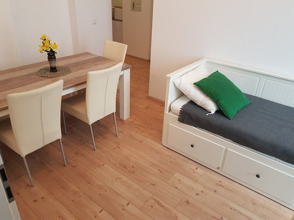 This comfortable two-bedroom apartment in the city center close to the ring make Vienna, Austria Corona-safe Apart. close to ring (airconditioned!) Entire rental unit vacation rental 44156949