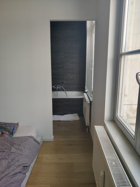 Je met à disposition ma chambre dans un appartement de 95m2 (partagé avec une pe Brussels, Belgium Grande chambre avec salle de bain privée Private room in rental unit vacation rental 43865757