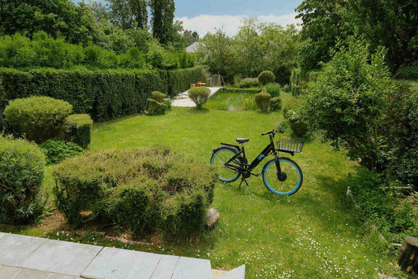 Chambre   lumineuse dans maison accueillante avec vue sur le jardin. Cadre verdo Brussels, Belgium Chambre lumineuse Private room in home vacation rental 26244564