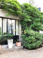 Loft, atelier d'artiste dans Paris 16 eme dans une propriété privée prés du bois Paris, France Loft, atelier d'artiste dans Paris 16 eme Entire loft vacation rental 28332004