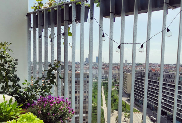 Genieße deinen Aufenthalt über den Dächern Wiens in meinem stilvoll eingerichtet Vienna, Austria Appartement über den Dächern Wiens Entire rental unit vacation rental 666796959797794537