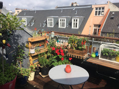 Central in Copenhagen we live in a building with five other apartments, all with Copenhagen, Denmark Huge, quiet, light flat with a roof patio-Downtown Entire rental unit vacation rental 26058788