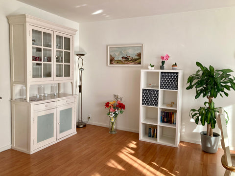 A cozy entire apartment with two bedrooms (2* two-persons), bathroom (incl. bath Rotterdam, Netherlands Charming 100m2 Entire Apartment -Garden city Entire condo vacation rental 46185194