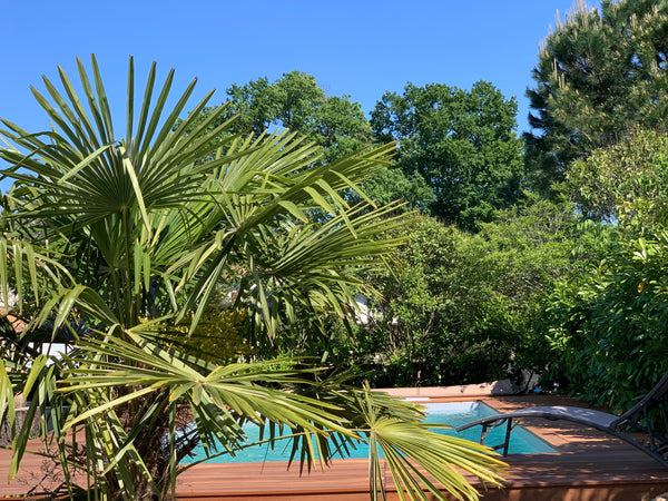 Maison d'architecte spacieuse et lumineuse située à 8km de Bordeaux. Capacité 8  Gradignan, France Maison spacieuse 250 m2 13pers  proche  Bordeaux Entire home vacation rental 27188427