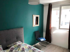 Un grand salon, une chambre indépendante. Cuisine très pratique. Lit king size.  Villefranche-sur-Saone, France Cœur de LYON Entire rental unit vacation rental 27280266