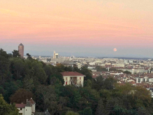 Chambre simple lit mezzanine à 5 mn du centre de Lyon, tout confort et avec un v Lyon, France Avec une vue panoramique sur Lyon Private room in rental unit vacation rental 53137635