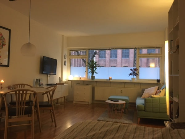 Cozy little appartment in the heart of Nørrebro. It's a one room appartment with Copenhagen, Denmark Cozy cute place in the heart of Nørrebro Entire rental unit vacation rental 19640192