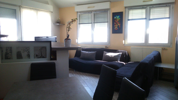 Mon logement est proche de les restaurants, les transports en commun et la vie n Lyon, France Appart lumineux Design proche Part Dieu Entire rental unit vacation rental 13545512