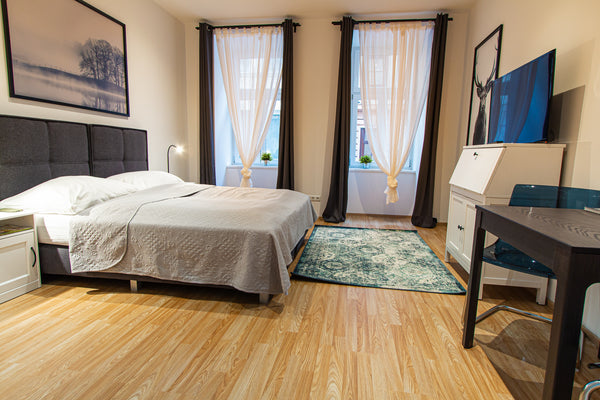 Bitte beachten Sie, dass wir mehrere ähnliche Apartments in einer Kategorie zusa Vienna, Austria checkVIENNA - Ruedigergasse - Studio Entire rental unit vacation rental 48290298