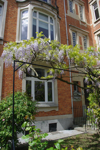 Dans un quartier calme et recherché, assez proche du centre de Bruxelles, vous d Forest, Belgium Jolie suite dans maison de charme Private room in home vacation rental 11032296