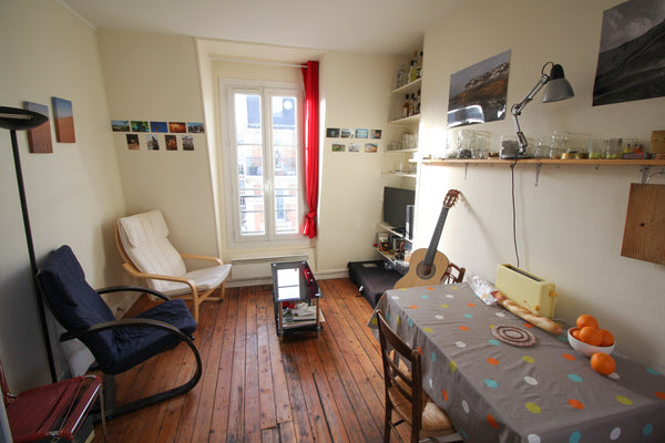 The Canal St-Martin, the Bassin de la Villette and 4 metro lines are all availab Paris, France Flooded by sunlight, next to the Canal St-Martin Entire rental unit vacation rental 17791851