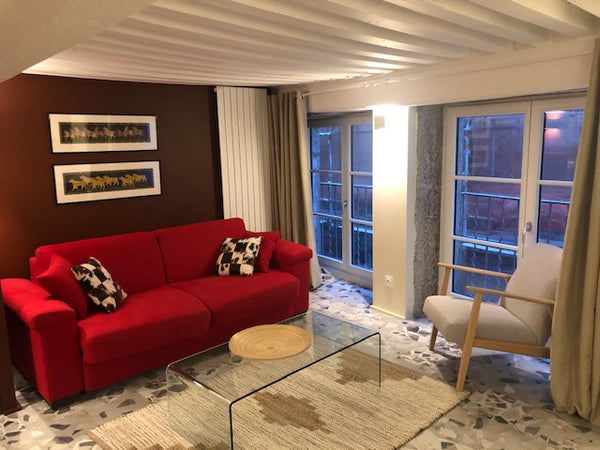 Vieux Lyon, plein centre quartier St Jean, appartement ancien entièrement rénové Caluire-et-Cuire, France Vieux Lyon, cocon 50m2 entièrement rénové Entire rental unit vacation rental 34456841