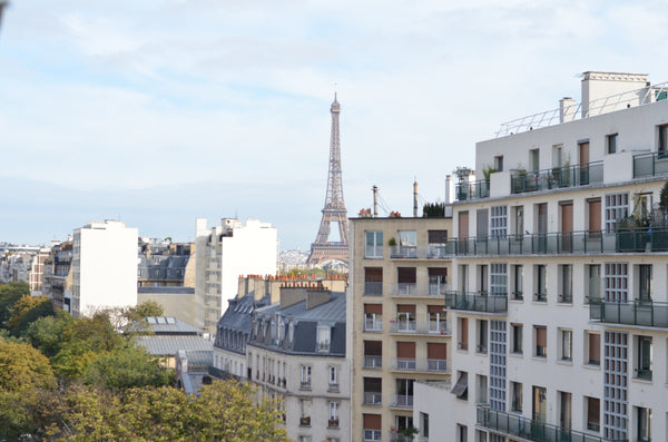 I am happy to share with you my apartment during your stay in Paris. I have a qu Toronto, Canada Your sofabed with a view of the Eiffel Tower! Shared room in rental unit vacation rental 20448819