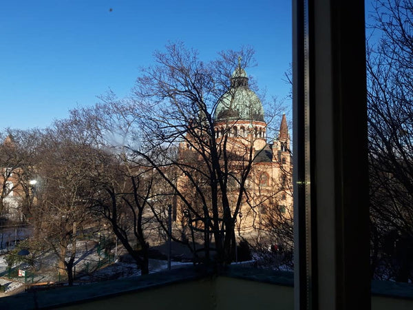 I will be travelling outside Europe for 25 days and I'm putting my room for rent Vienna, Austria Beautiful and bright room Private room in rental unit vacation rental 32148203