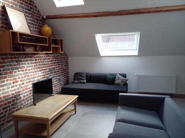 Only two minutes walking to Charleroi airport bus terminal. you'll apreciate the De Haan, Belgium Quite,  200 m. gare du midi, close Grand Place Private room in townhouse vacation rental 53766585
