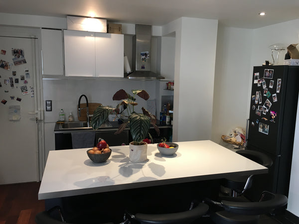 High standing, recently refurbished 2-room flat, in a very central area. 1 min w Paris, France ★ 43m² ★ République, Goncourt, canal St Martin Entire rental unit vacation rental 18480956