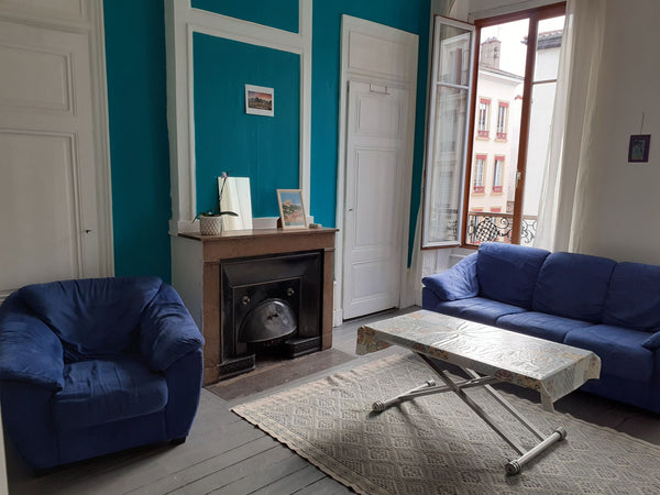 Idéalement situé dans le quartier de la Guillotiere, à 2 pas des berges du Rhône Lyon, France Appartement 66m2, proche berges du Rhône Entire rental unit vacation rental 44695047