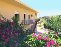 Spacious apartment, recently renovated, with fully equipped kitchen and balcony. Athens, Greece Studio 35 sqm in Sougia Entire rental unit vacation rental 560590594779282682