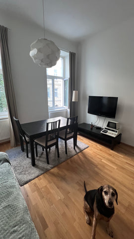 Bei dieser besonderen Unterkunft sind alle wichtigen Anlaufpunkte ganz in der Nä Vienna, Austria Bright Viennese Flat next to the famous Augarten Entire rental unit vacation rental 704260444789525176