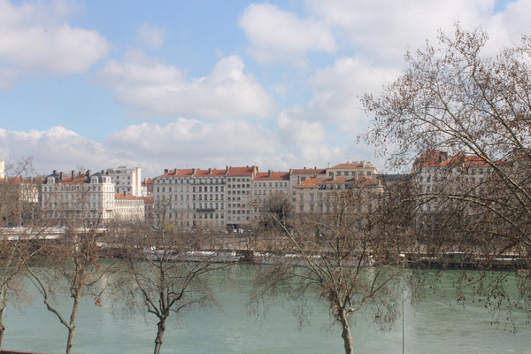 Situé dans un très beau quartier de Lyon, cet appartement allie charme de l'anci  Le Petit Opéra  Hôtel de Ville - Sans vis à vis Entire loft vacation rental 29693675