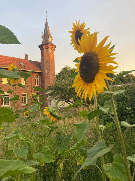 Beautiful garden free on-site parking.<br /><br />Bikes to paddle wherever.<br / Ghent, Belgium Night in the castle near city centre Private room in castle vacation rental 38235431