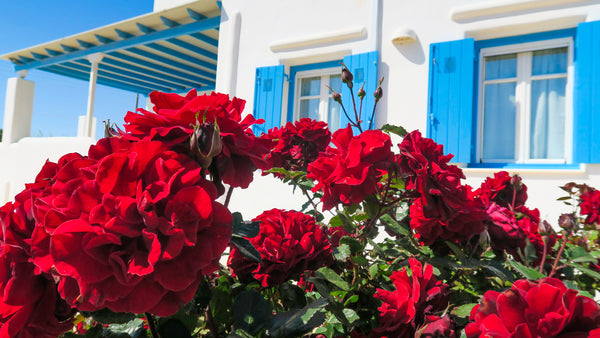 5 minutes walk to the beach, 4 km to Naousa.  <br />Our elegant sea view apartme Greece VILLALULA-ROSE 2 bedroom s/view deluxe apartment Entire rental unit vacation rental 25206264