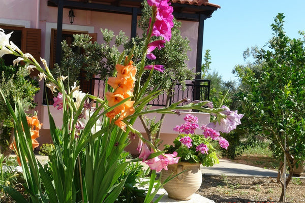 Villa Athina is named after the ancient Greek goddess. It is located in the heav Rethimnon, Greece Villa Athina... a jewel of Cretan nature! Entire home vacation rental 10817146