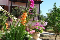 Villa Athina is named after the ancient Greek goddess. It is located in the heav Rethimnon, Greece Villa Athina... a jewel of Cretan nature! Entire home vacation rental 10817146