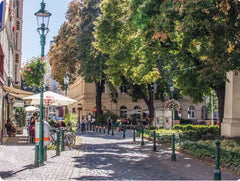 Welcome to one of the coziest central areas in Vienna! Either walk to the centre Brunn an der Schneebergbahn, Austria Large room in a flat - Viennese Imperial style Private room in rental unit vacation rental 40527928