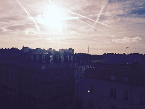 Charming and cosy apartment with a beautiful view on the Eiffel tower and the Sa Paris, France Charming and cosy apartment with beautiful view Entire rental unit vacation rental 21719677