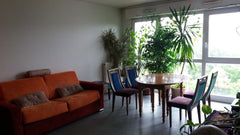 I rent a room with a sofa bed 2 people and a mezzanine. spacious clean and nice. Paris, France Bastille Bercy Gare de lyon Private room in rental unit vacation rental 10818174