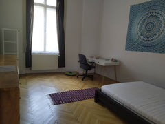 Genieße das einfache Leben in dieser ruhigen und zentral gelegenen Unterkunft.<b Vienna, Austria Schönes Zimmer in Innenstadt Private room in rental unit vacation rental 660066512776903599