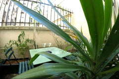 Chambre privée dans loft design dans le centre de Paris<br /><br /><b>The space< Paris, France Chambre privée dans un loft au centre de Paris Private room in loft vacation rental 20421709