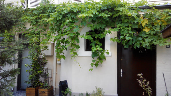 In the centre of Paris, near metro Jussieu and Place Monge, 1 min to the gardin  Paris, France beautiful appartement at 5th arrondissement Entire rental unit vacation rental 13836521