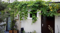 In the centre of Paris, near metro Jussieu and Place Monge, 1 min to the gardin  Paris, France beautiful appartement at 5th arrondissement Entire rental unit vacation rental 13836521