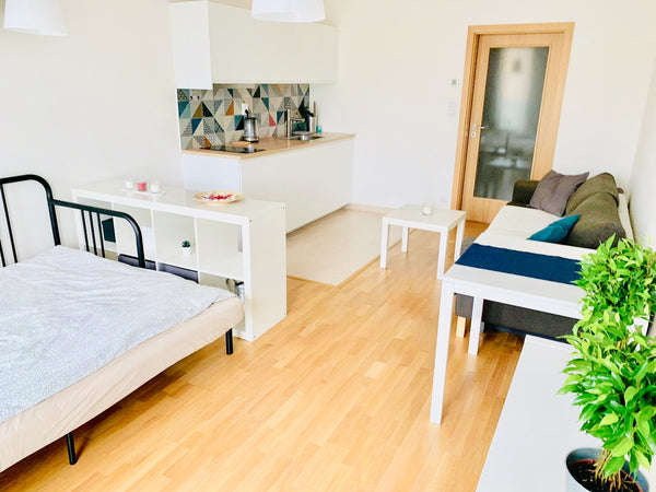 Prague, Czechia New beautiful apt near city center Entire rental unit vacation rental 49209558